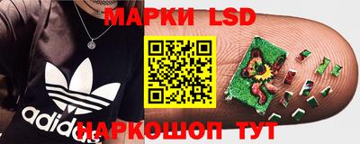 шишки Балашиха