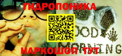 шишки Балашиха