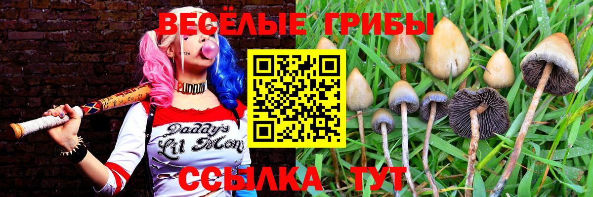 Псилоцибиновые грибы прущие грибы  Вход с VPN  Горно-Алтайск  магазин  наркотиков  Галлюциногенные грибы Magic Shrooms 