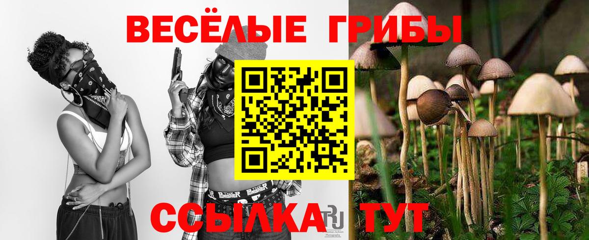 Псилоцибиновые грибы GOLDEN TEACHER Горно-Алтайск